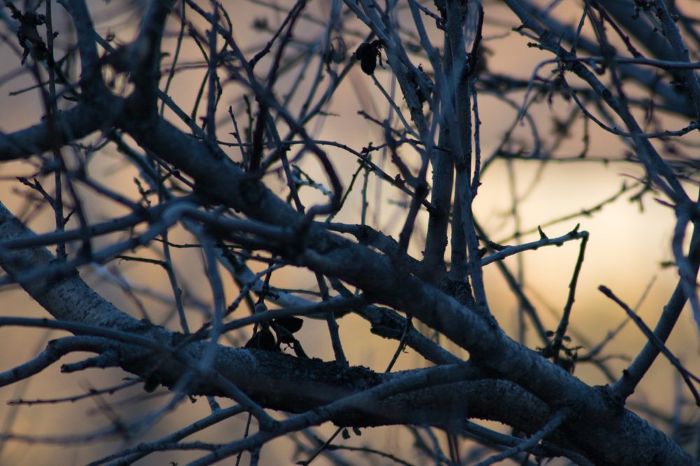 Photograph by Gabriella Sicurello