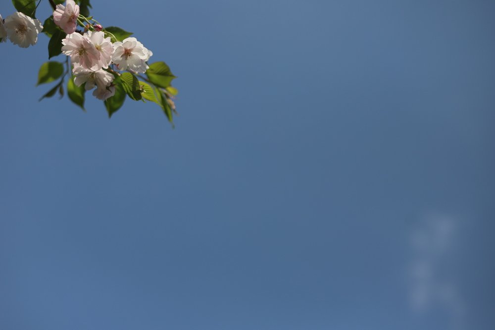 Photograph by Татьяна Мазок