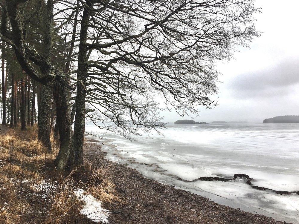 Photograph by Юлия Орлова