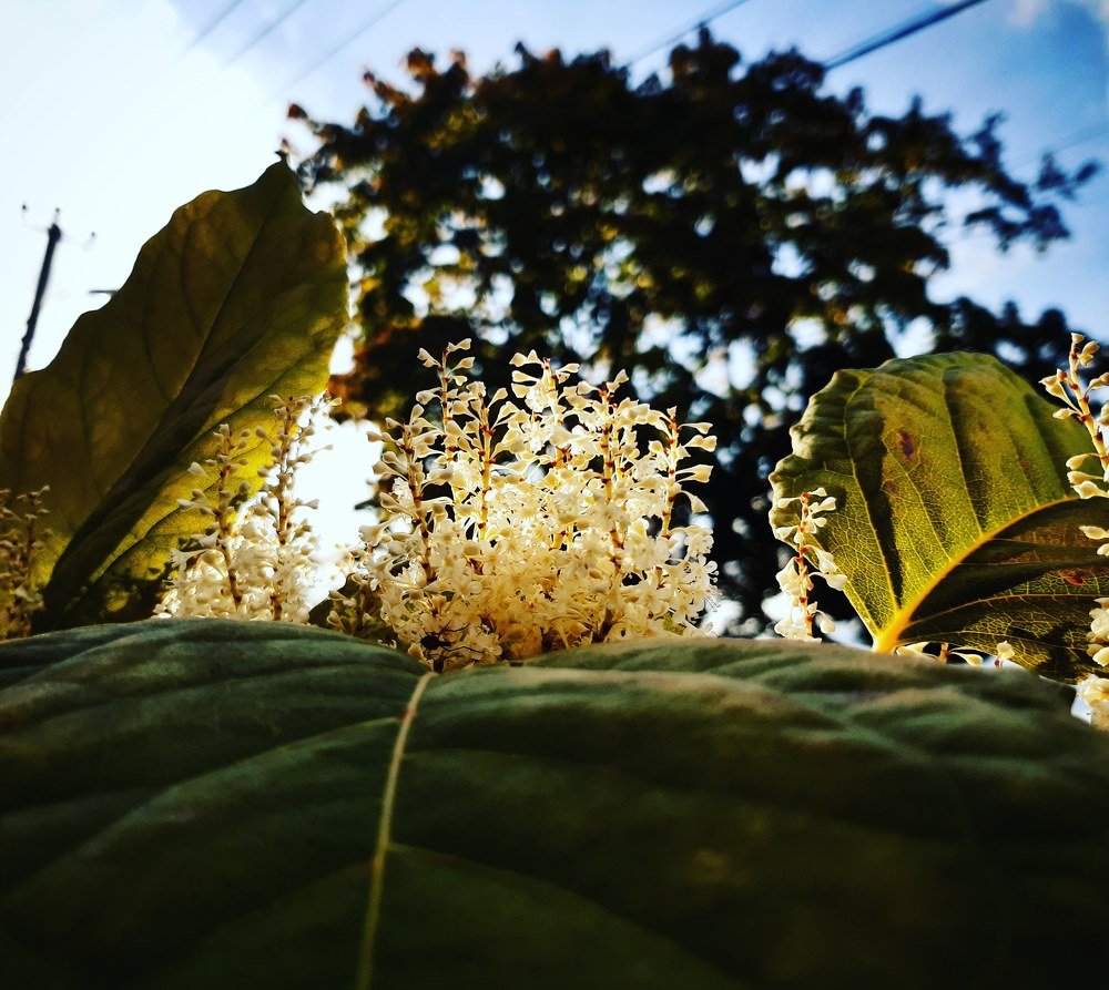 Photograph by Татьяна Кротова