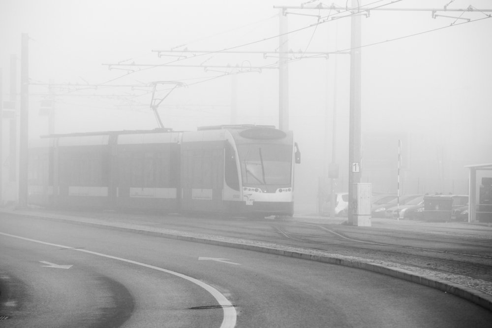 Photograph by Carlos Alberto Sequeira