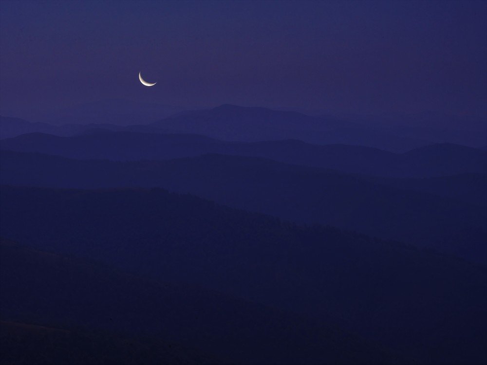 Photo #4355953