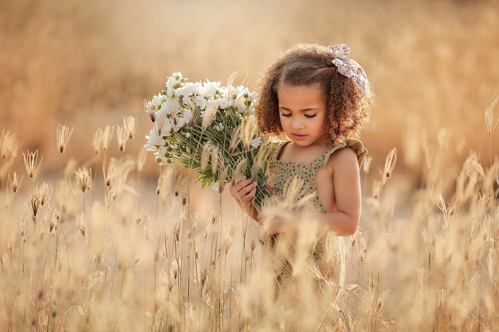 "Recolectora de Sueños"