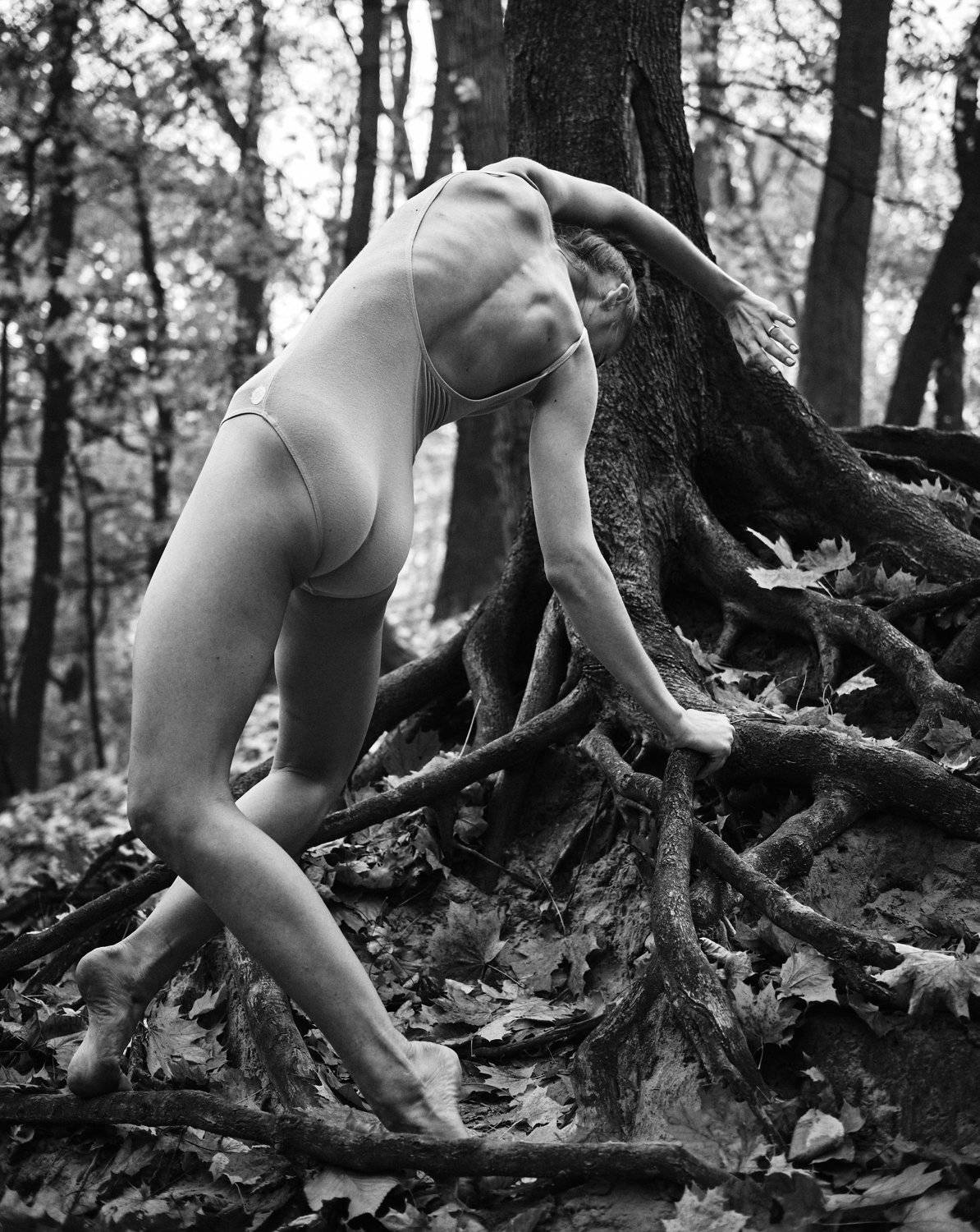 Фотография #4356070