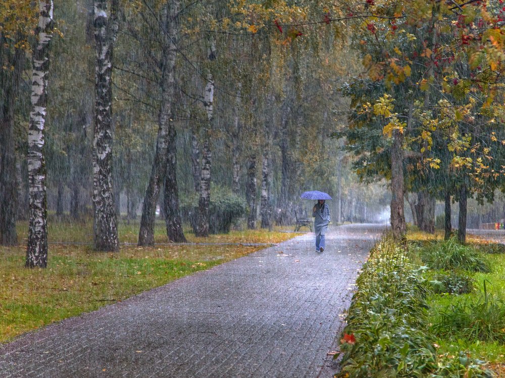 Прогулка под дождем