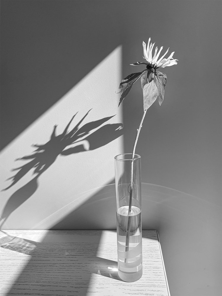 Photograph by Мария Тяпкова