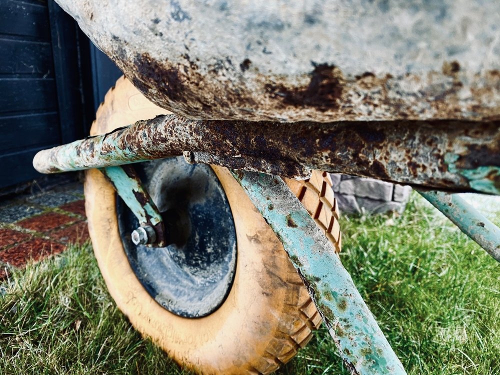 Фотография автора Елена