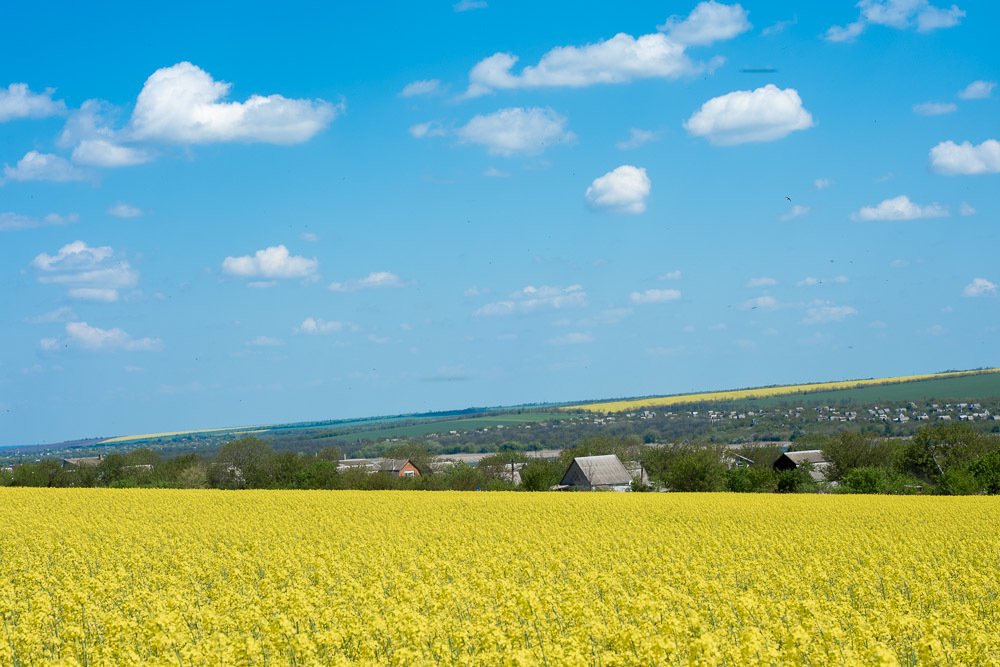 Photograph by Людмила Швец