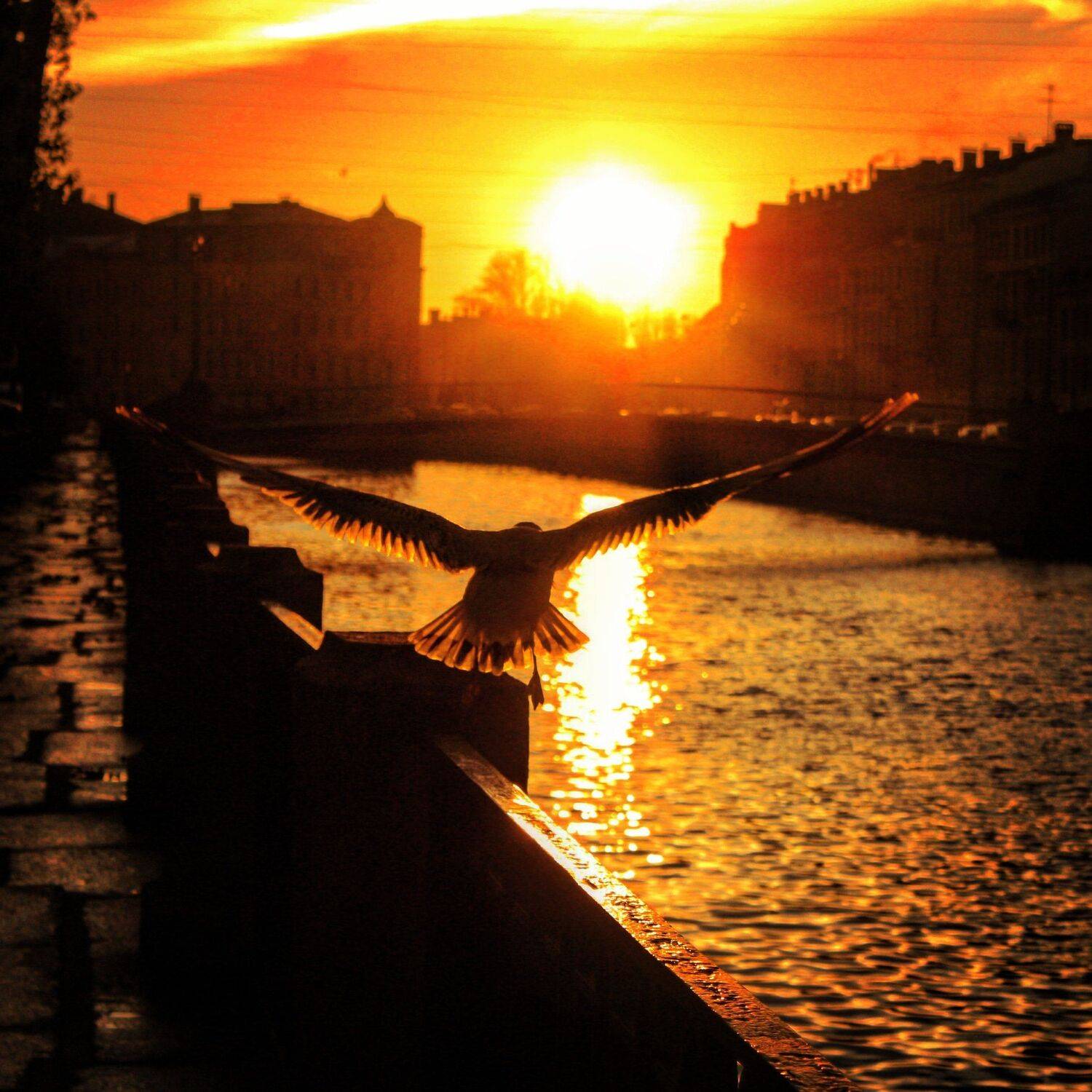 Photo #4356318