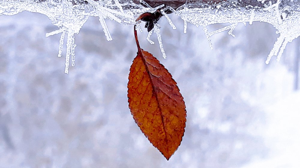 Photograph by Mirela Velicu