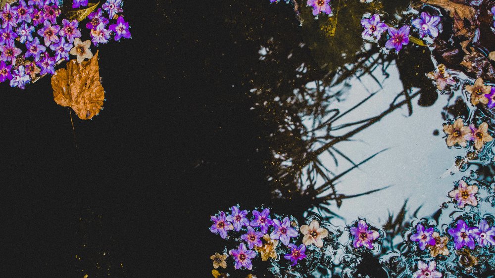 Photograph by Joseph Ordoñez