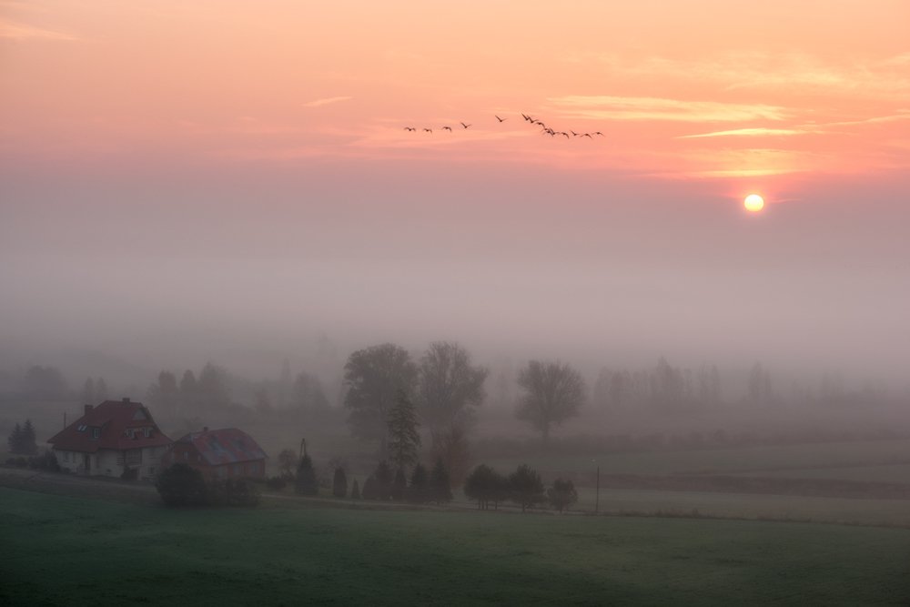 Photograph by Patryk Janota