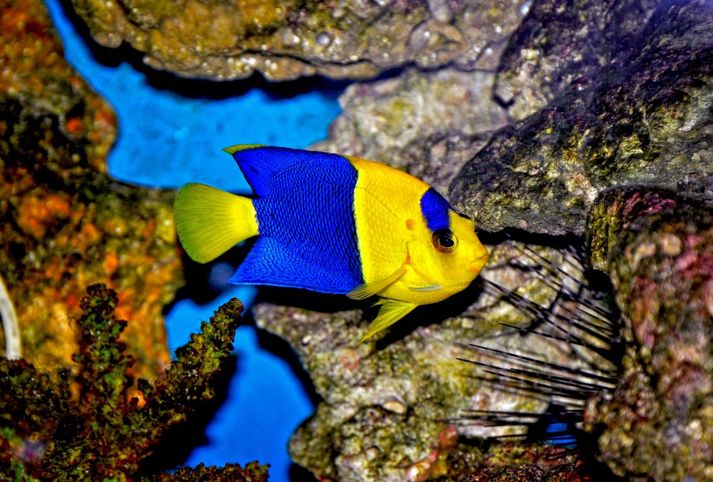 Photograph by Сергей Курников