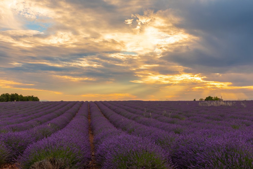Photograph by Евгения Чех