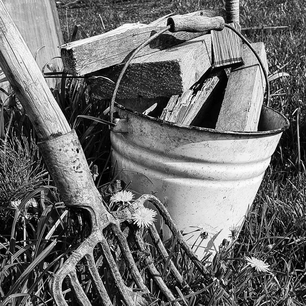 Во саду ли ,в огороде...