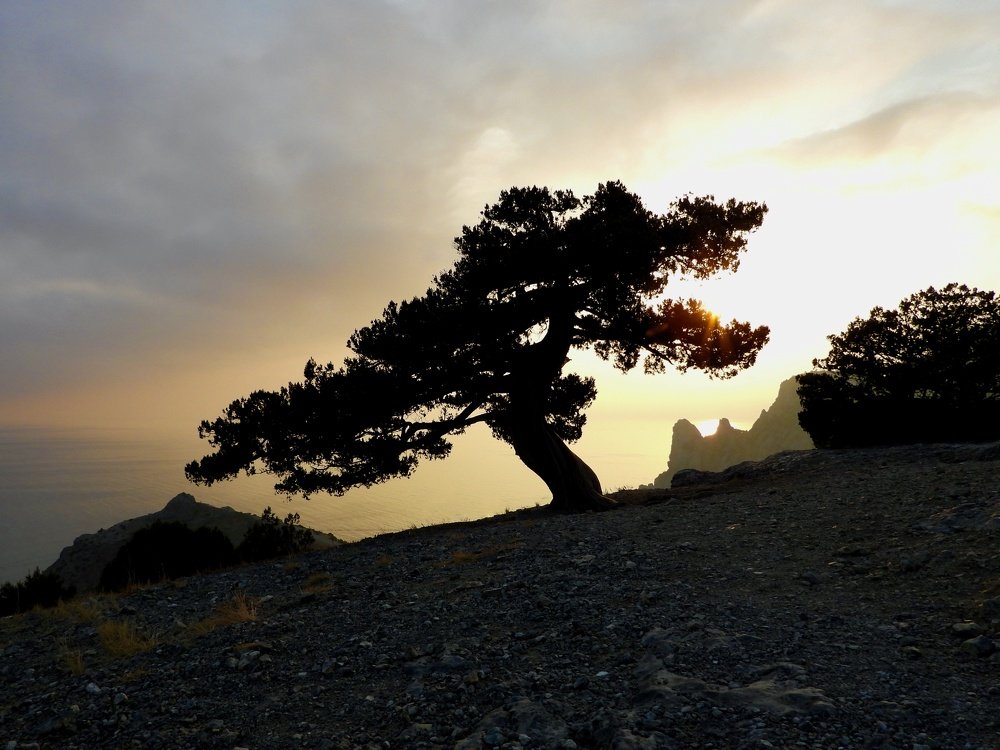 Photograph by Дмитрий Батагов