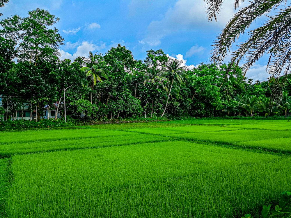 Beautyfull Nature