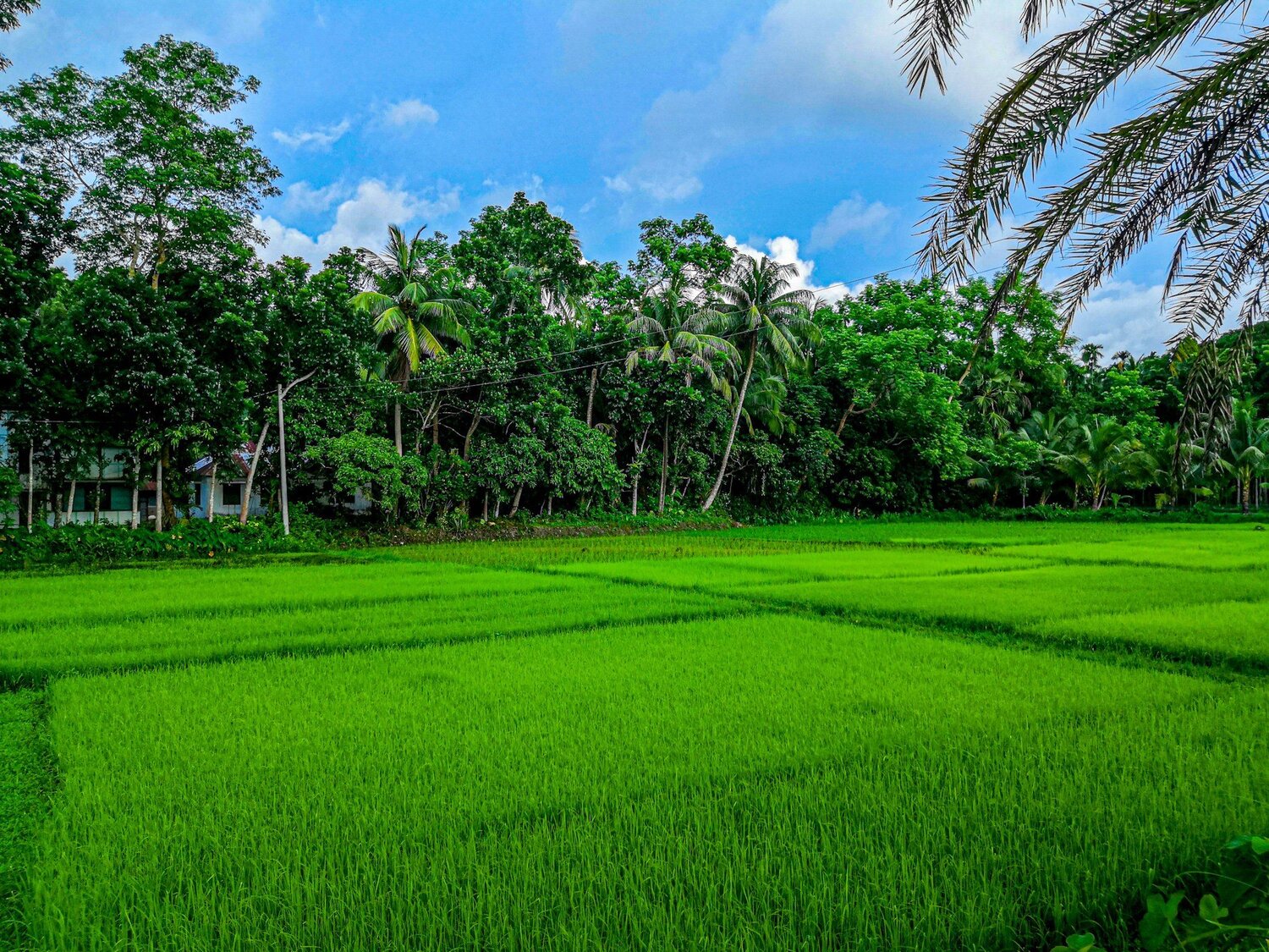 Beautyfull Nature