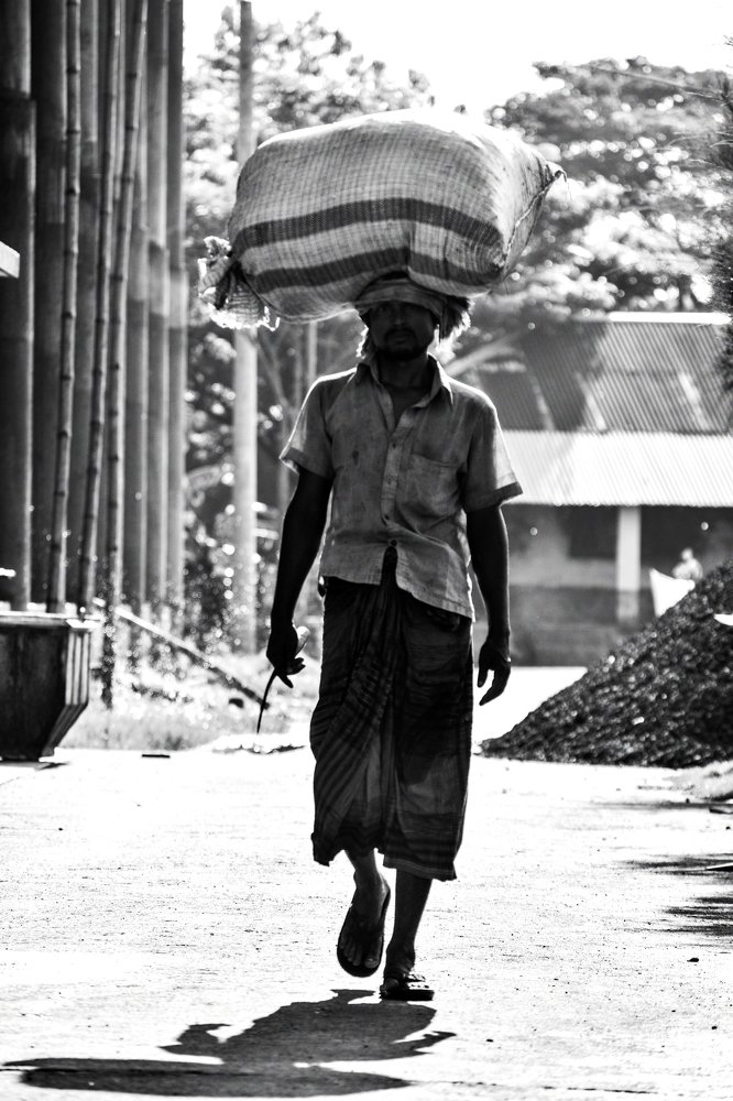 Photograph by Nazmus Sakib