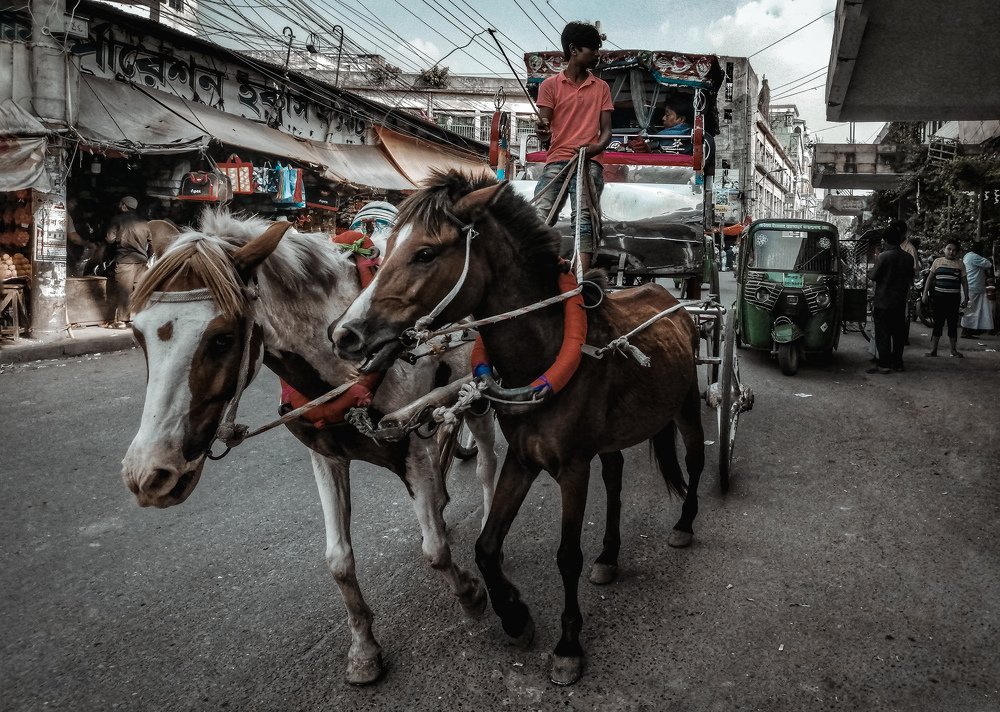 Tradition on the Street