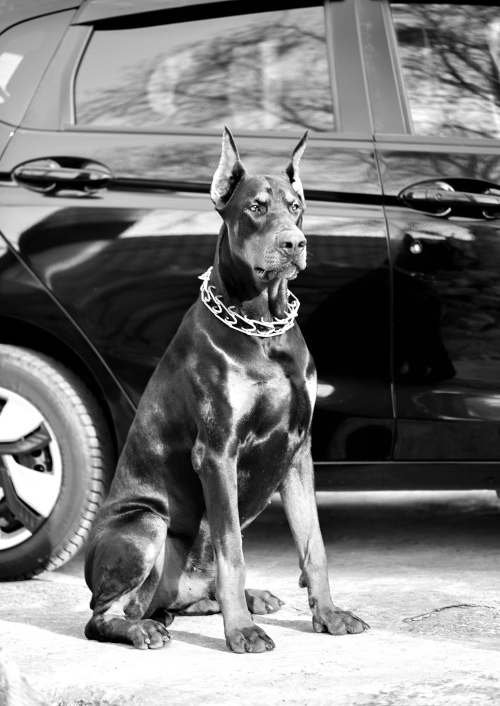 Photograph by Елена Осколкова