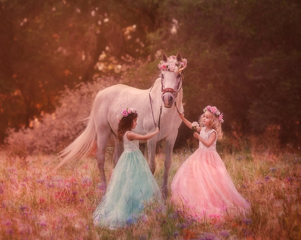 Photograph by Julia Yedinak