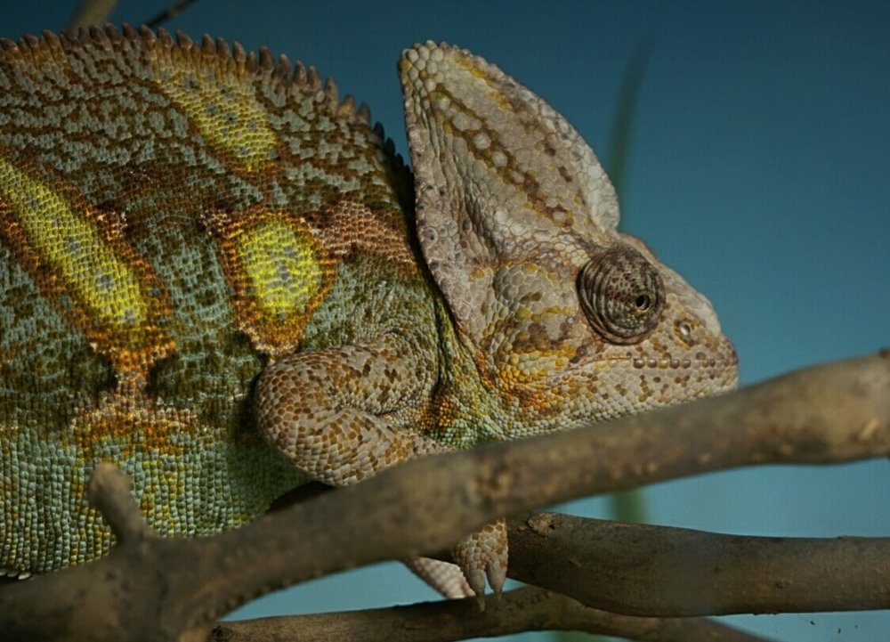 Photograph by Mónica Castaño