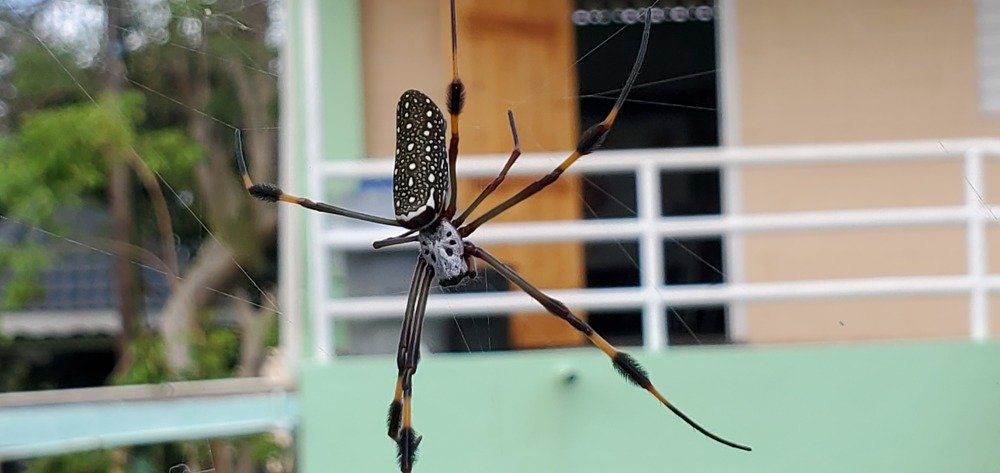 Photograph by Debs Alberto