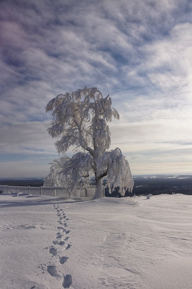 Photograph by Наталья Фрейман