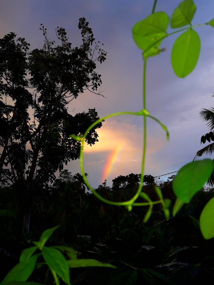 Photograph by Dinusha Madusanka Ranawaka Arachchige