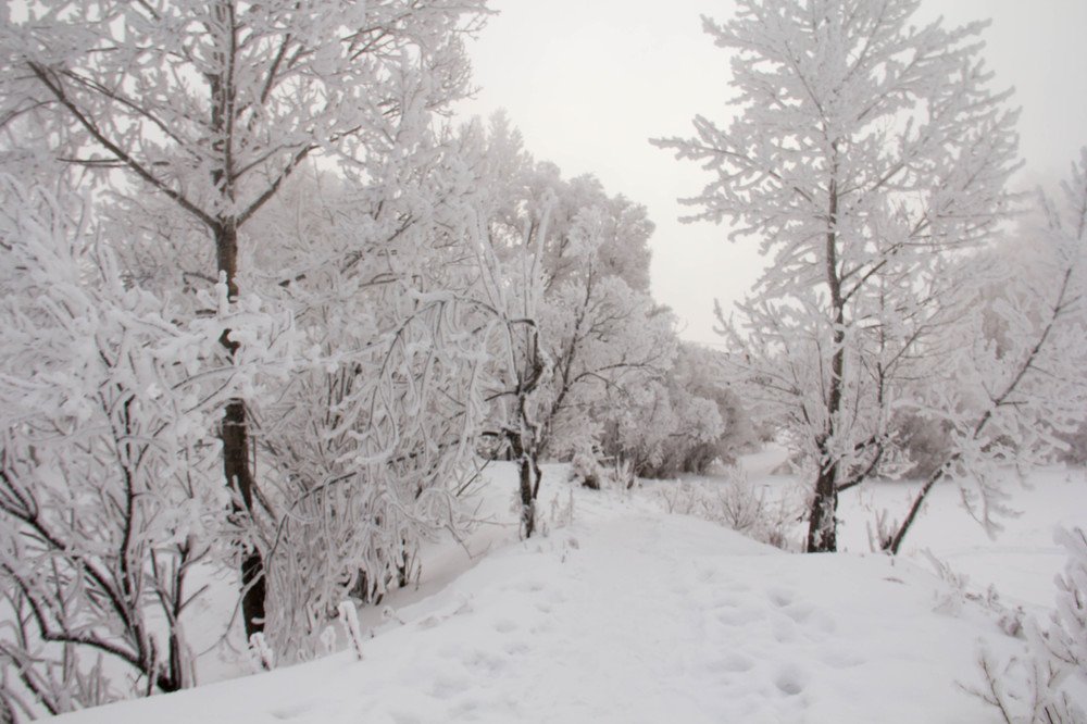 Photograph by Вадим Басов