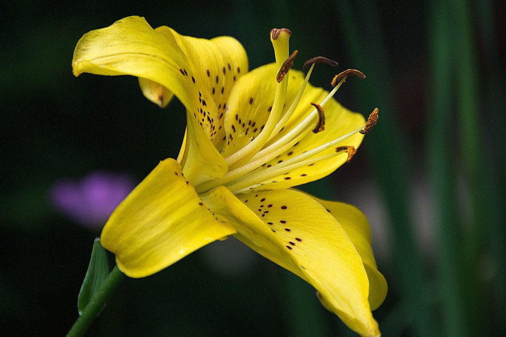 Photograph by Yroslava Veretina