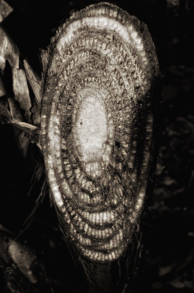 Photograph by Jorge Pedro Caggiano Perez