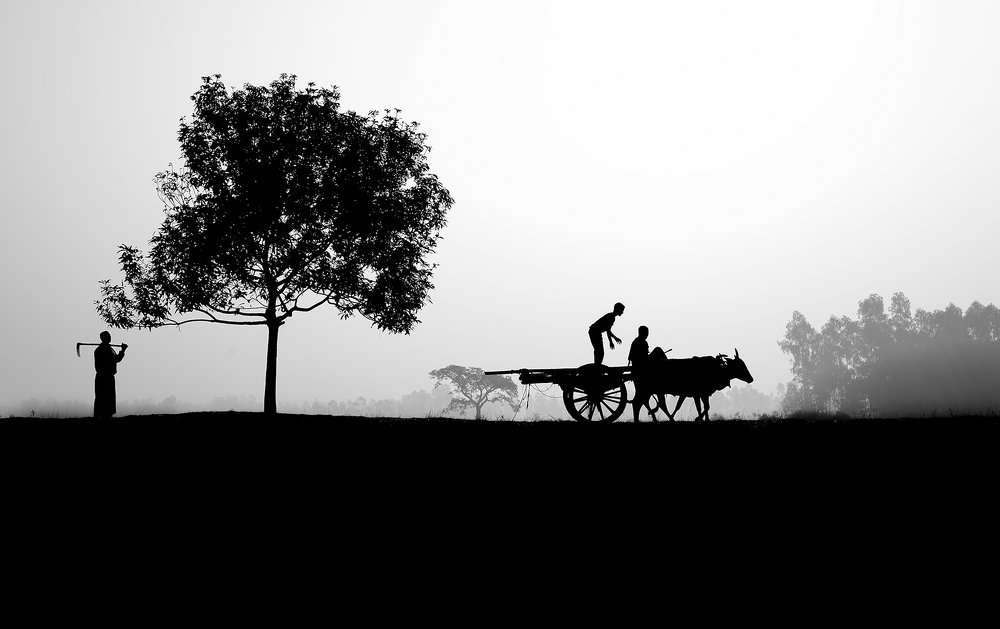 The beginnign of the day