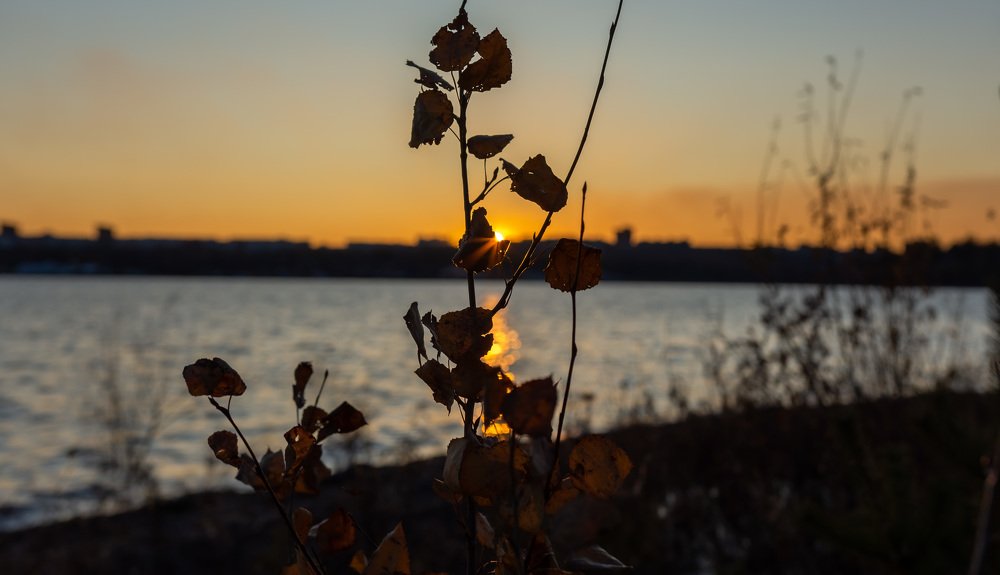 Photograph by Олег Маменко