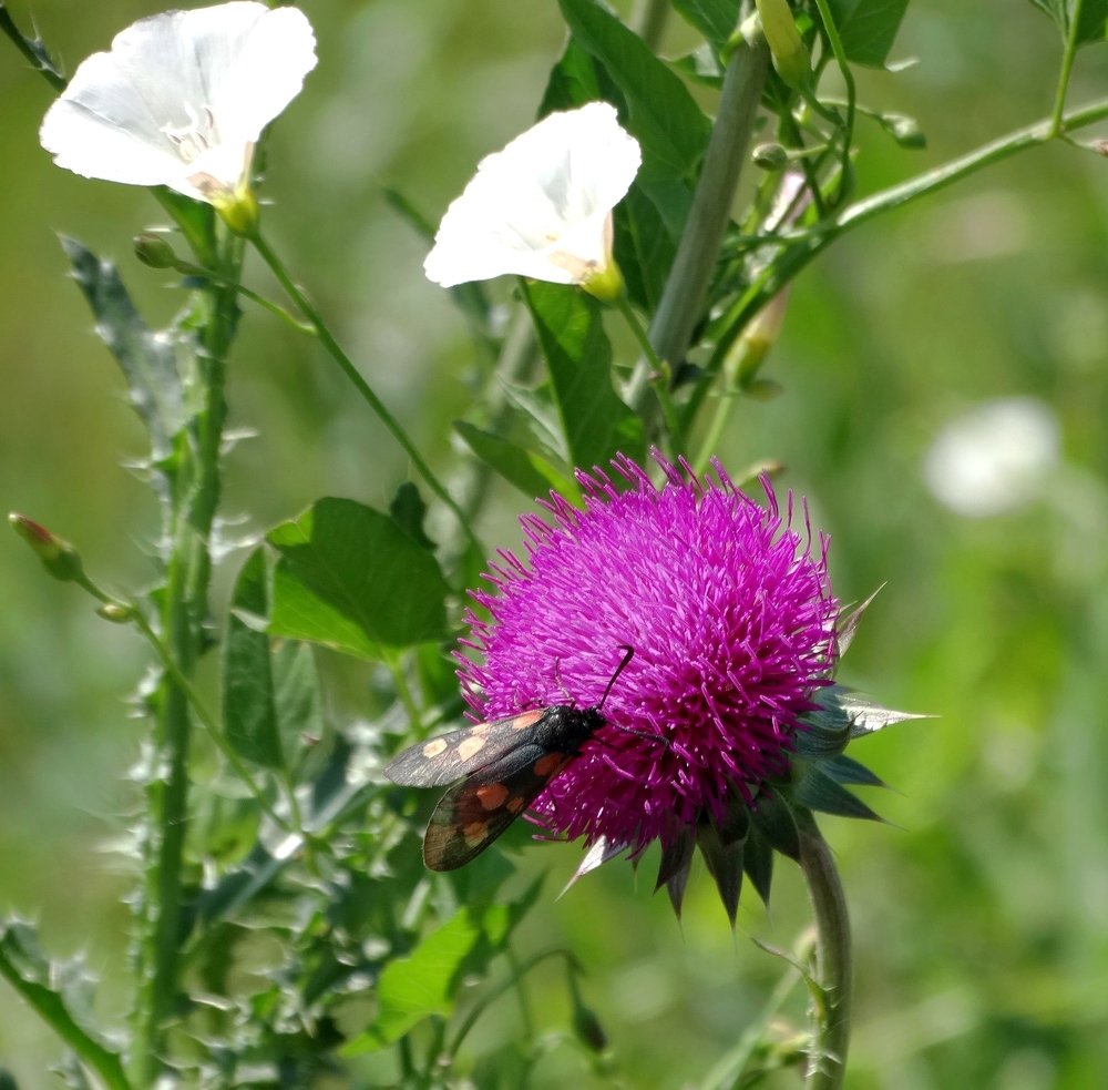 Photograph by Александр Подгорный