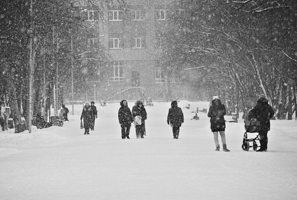 Photograph by Евгений Брусков