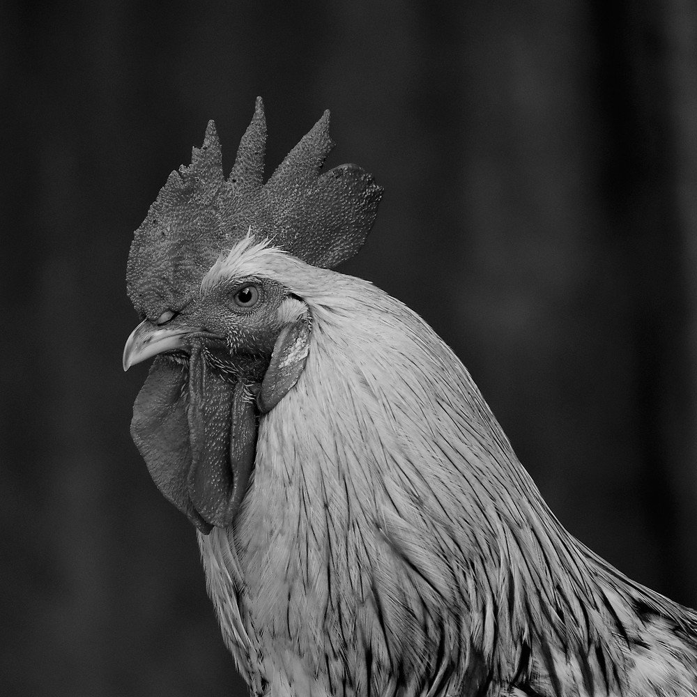 Photograph by Alberto Ortiz