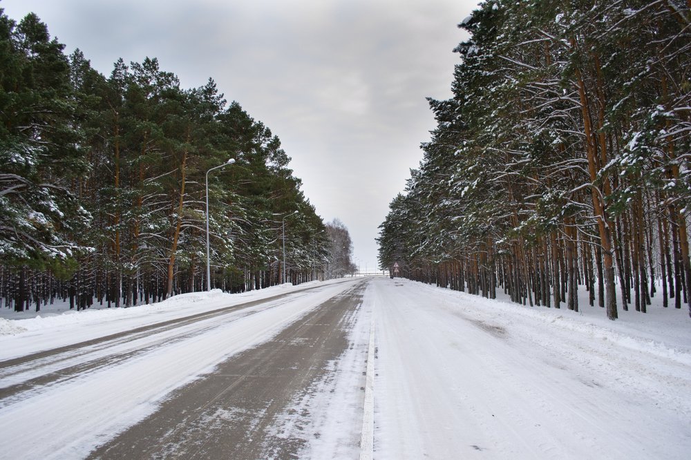 Photograph by Алёна Фефелова