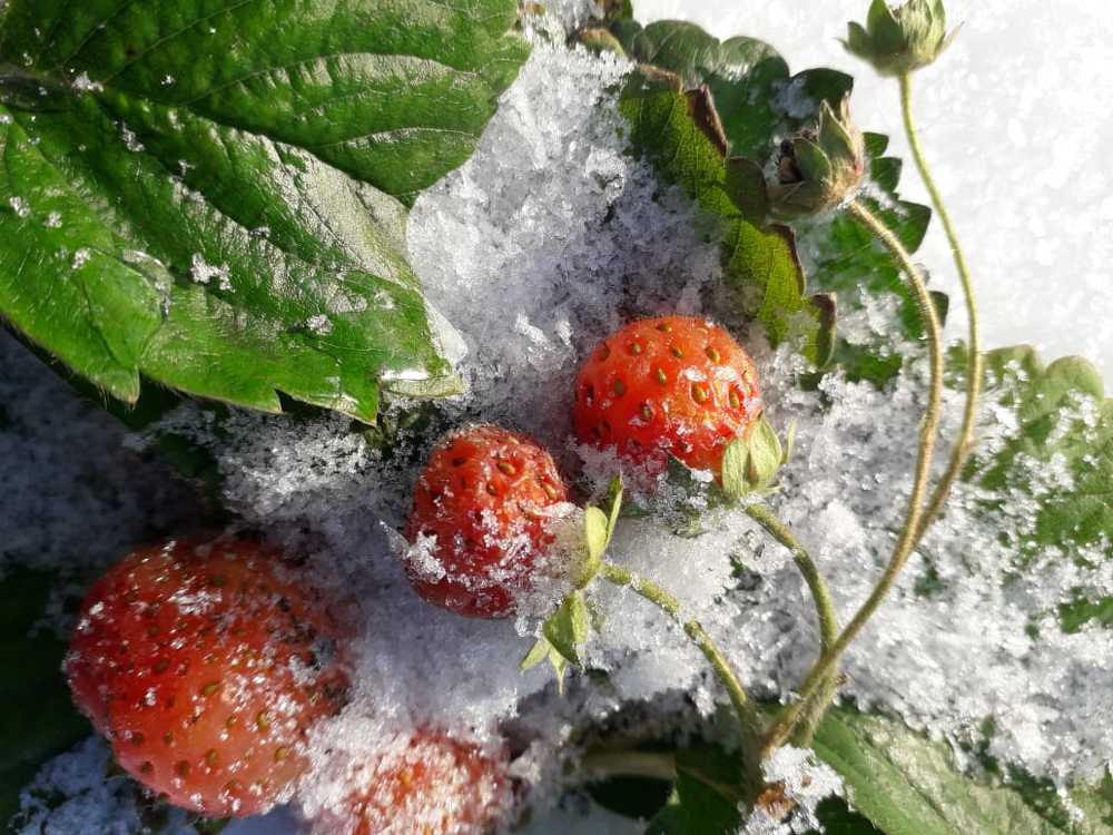 Photograph by Владислав Кириллин