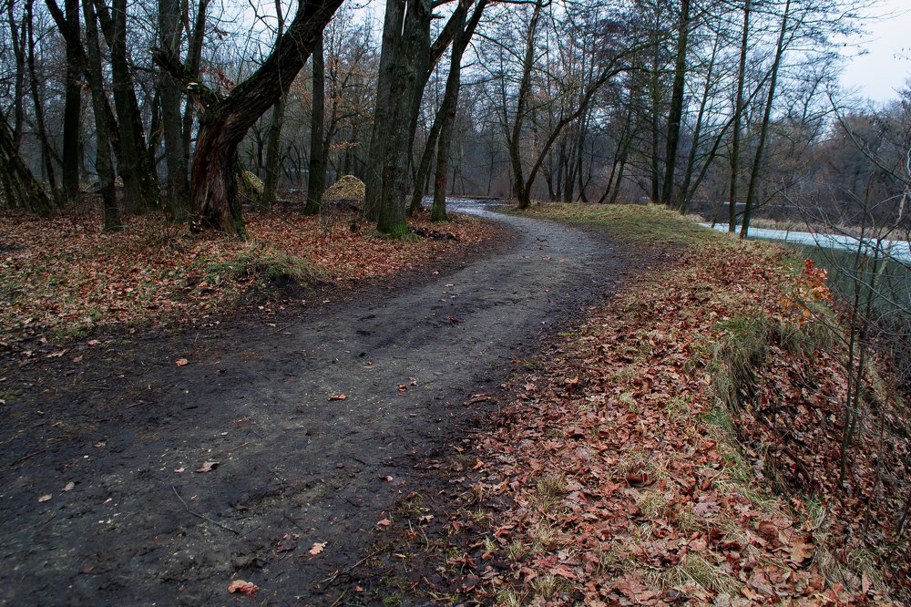 Photograph by Замазкин Графф