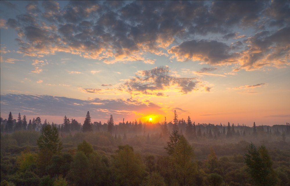 Photograph by Денис Литвиненко