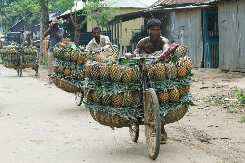 Photograph by Mahmudul Hasan