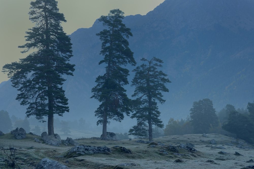 Хмурое утро