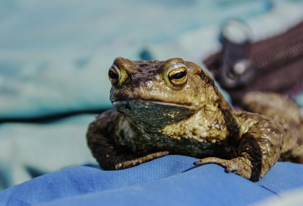 Photograph by Павел Лаврухин