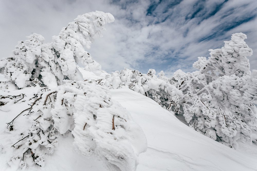 Photograph by Константин Аношин