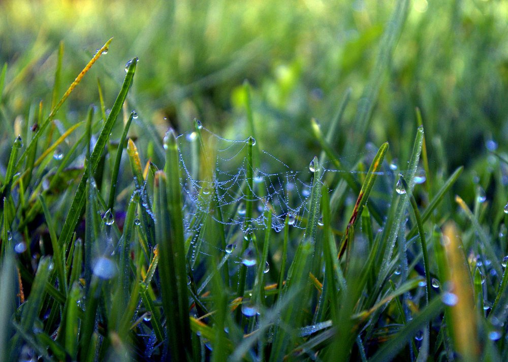 Photograph by Анастасия Егорова