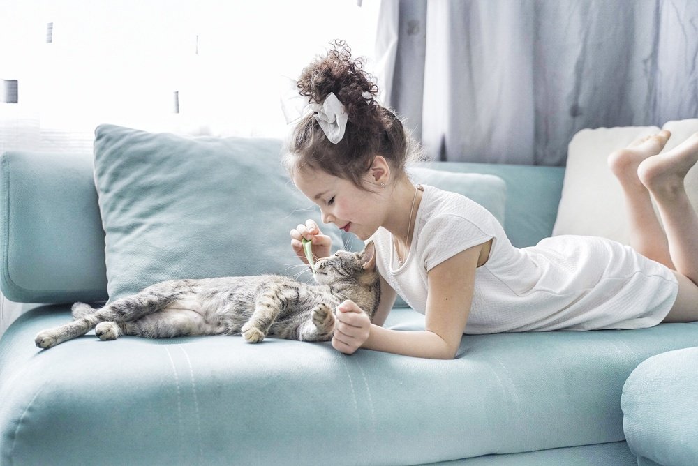 Девочка и кошка