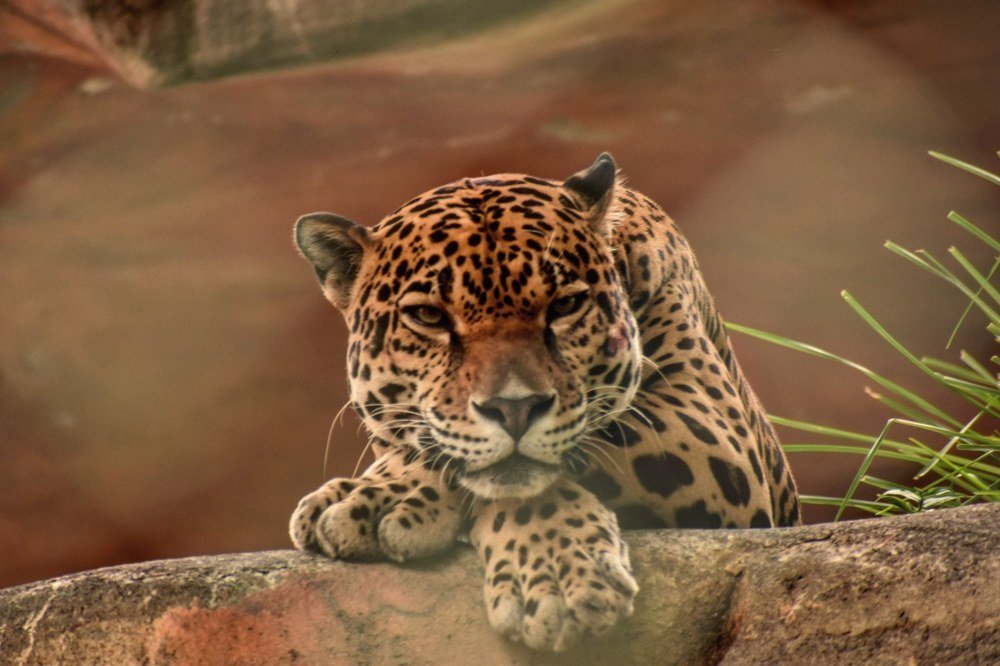 Photograph by Manuel Galindo