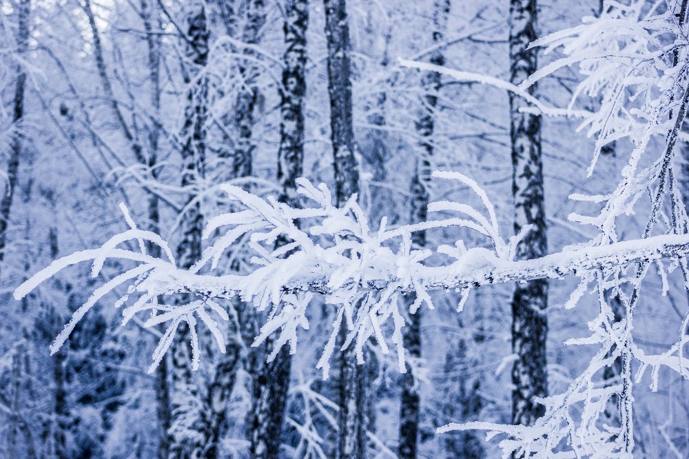 Photograph by Максим Грищенко